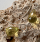Preview: Grüne Bernstein Ohrhänger 22 x 13 mm facettiert